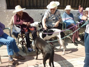 Terapia con Animales