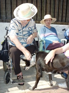 Terapia con Animales