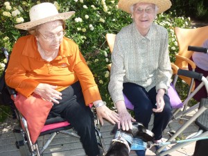 Terapia con Animales