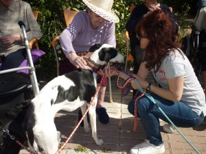 Terapia con Animales