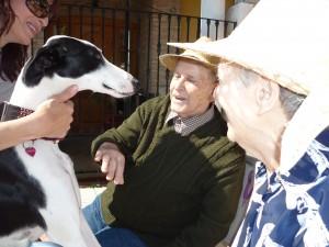 Terapia con Animales