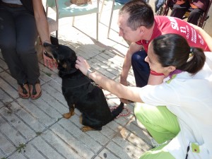 Terapia con Animales