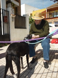 Terapia con Animales